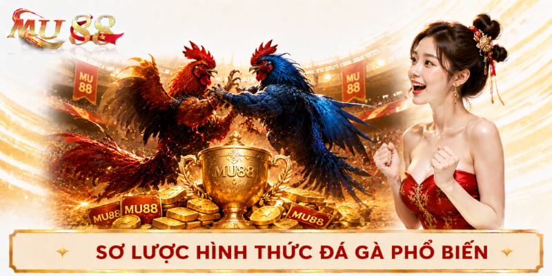 hình thức đá gà mu88 phổ biến
