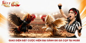 sảnh đá gà cq9